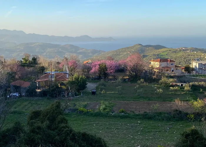 Oktonia Apartments-Evia