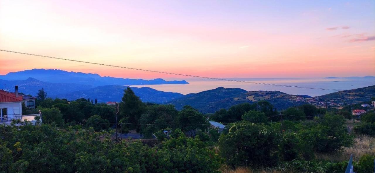 Oktonia Apartments-evia