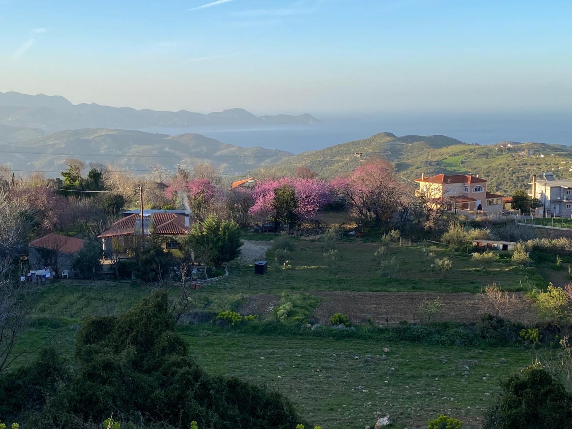 Oktonia Apartments-evia *